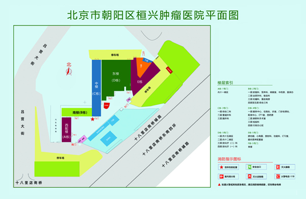 插逼网站免费看北京市朝阳区桓兴肿瘤医院平面图